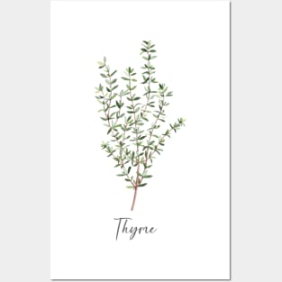 Thyme herb art Posters and Art